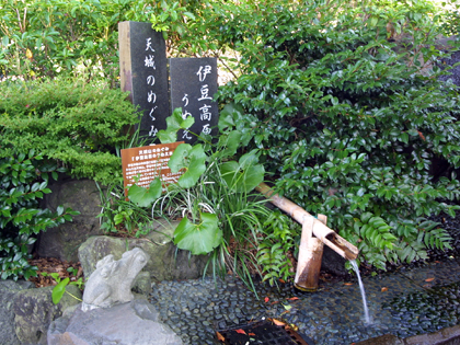 天城山の湧水を使った水道水「伊豆高原のうめえ水」は飲用可